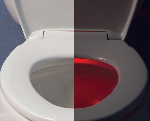 Bemis亲和亮夜灯厕所