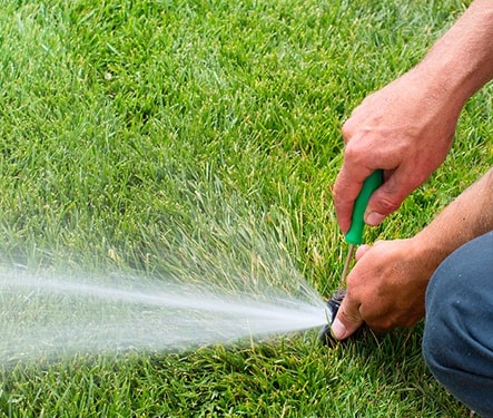 按照洒水器检查表进行适当的维护