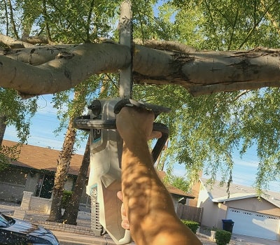 用快速的40v无线电锯切割